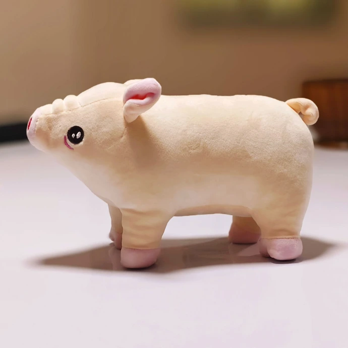 Piggy Toy