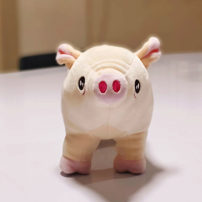 Piggy Toy