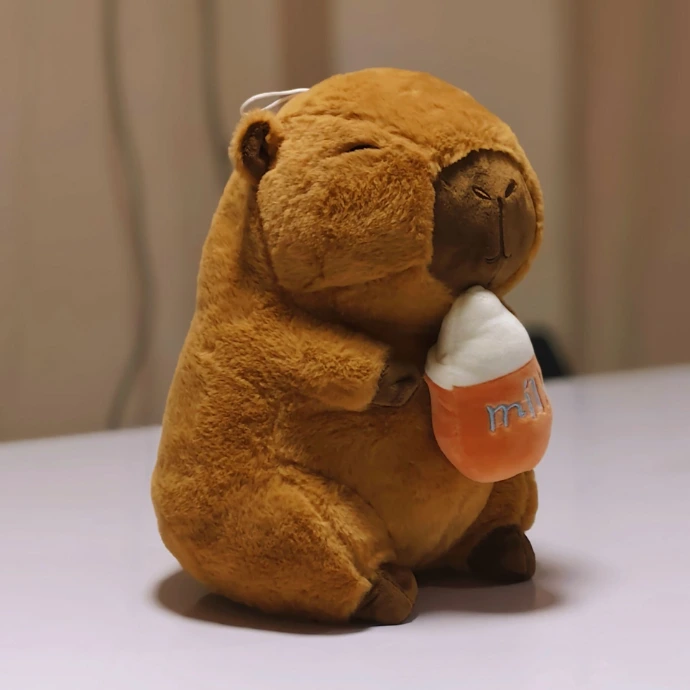 Capybara Plush Toy