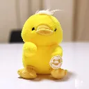 IMG_20260210_181945.webp