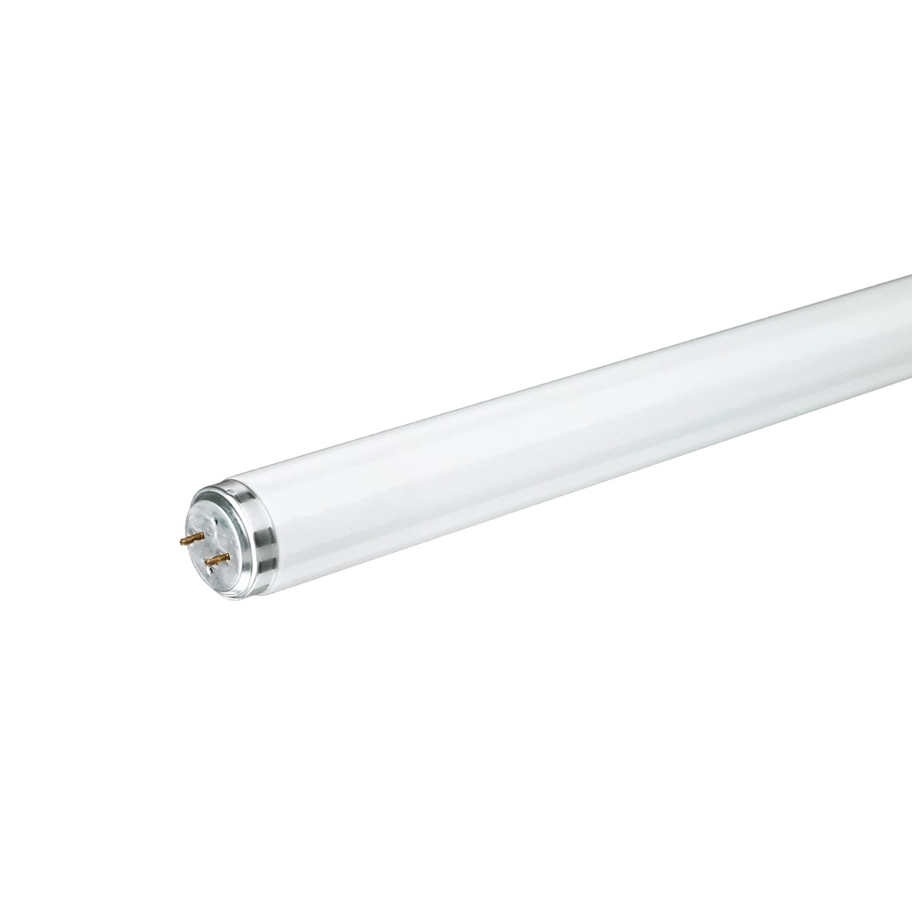 PHILIPS - T12