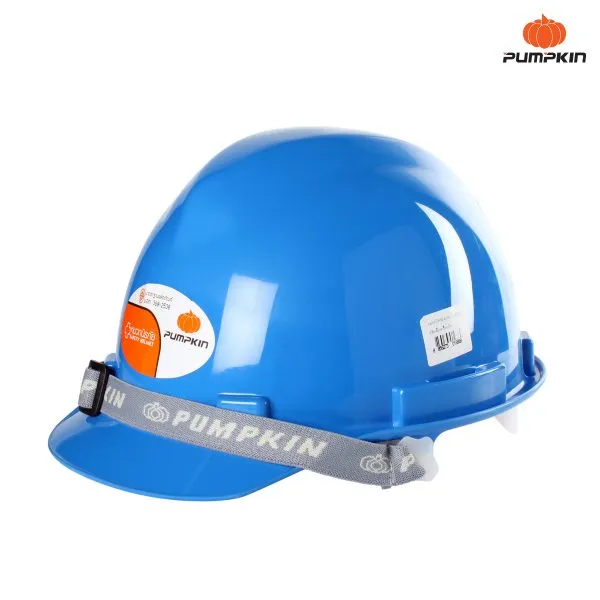 Pumpkin Safety Helmet (Blue)
