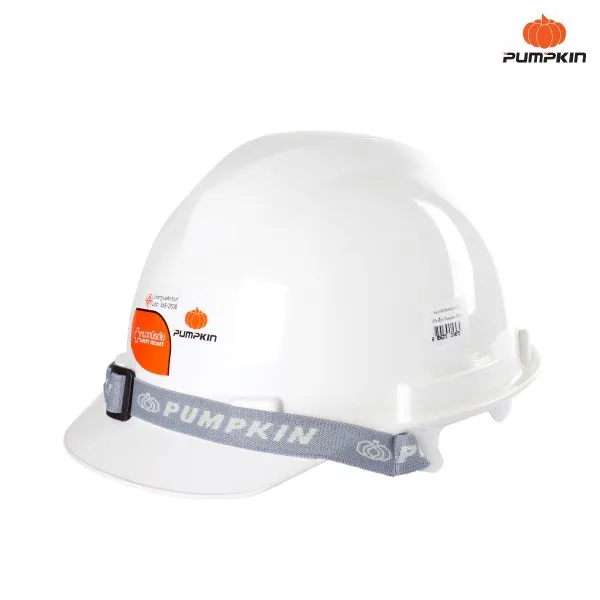 Pumpkin Safety Helmet