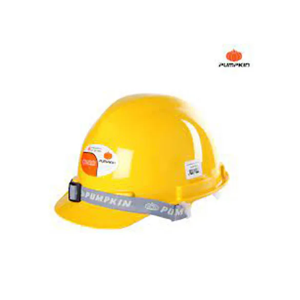 Pumpkin Safety Helmet