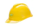 Safety Helmet ( China)