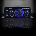AK170 Mini Audio Power Amplifier/Speaker Amp for Car and Home without bluetooth(Power Cabel and Adaptor doesn't include)