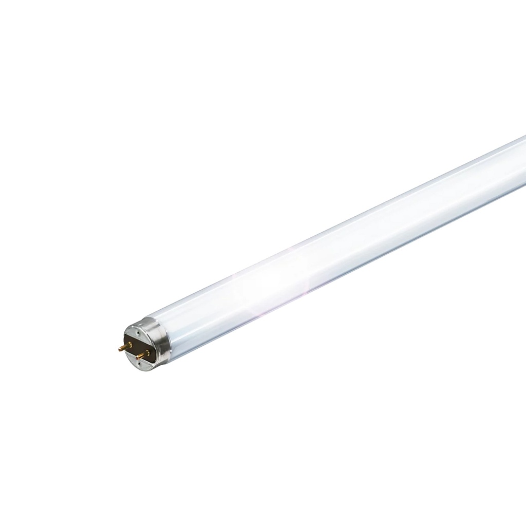 PHILIPS - TL-D Snow White
