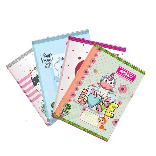 Apolo Double Line Exercise Book