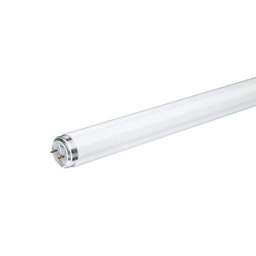 PHILIPS - T12
